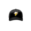 3756 R_P FLEX FIT CAP 172 SOUTHERN-SOFTBALL-1