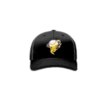 3756 R_P FLEX FIT CAP 172 SOUTHERN-SOFTBALL-1