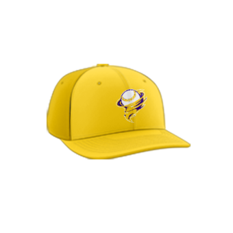 3756 R_P FLEX FIT CAP PTS30 SOUTHERN-SOFTBALL-1