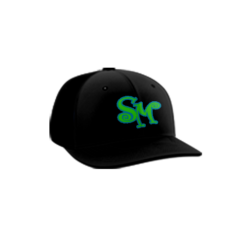 3916 R_P FLEX FIT CAP PTS30 SUGAR-MUMMAS-1