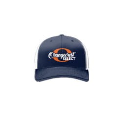 3891 R_P FLEX FIT CAP 172 OCGSA