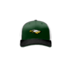 3892 R_P FLEX FIT CAP 172 EAGLES-1