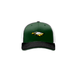 3892 R_P FLEX FIT CAP 172 EAGLES-1