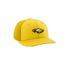 3892 R_P FLEX FIT CAP PTS30 EAGLES-1