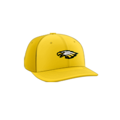 3892 R_P FLEX FIT CAP PTS30 EAGLES-1