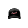 3896 R_P FLEX FIT CAP 172 IBEW-176-1