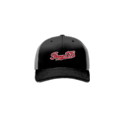 3896 R_P FLEX FIT CAP 172 IBEW-176-1
