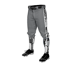 3896 MENS BASEBALL KNICKER PANT IBEW-176-2