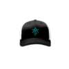 3898 R_P FLEX FIT CAP 172 ALL-THE-SMOKE-1