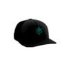 3898 R_P FLEX FIT CAP PTS30 ALL-THE-SMOKE-1