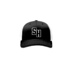 3441 R_P FLEX FIT CAP 172 SCARED-HITLESS-1