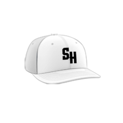 3441 R_P FLEX FIT CAP PTS30 SCARED-HITLESS-1