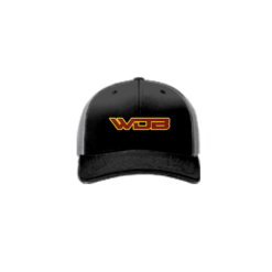 2025 R_P FLEX FIT CAP 172 WE-DEM-BOYZ-1