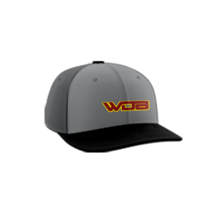 2025 R_P FLEX FIT CAP PTS30 WE-DEM-BOYZ-1