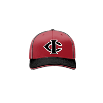 3902 R_P FLEX FIT CAP 172 IRON-CITY-BATS-1