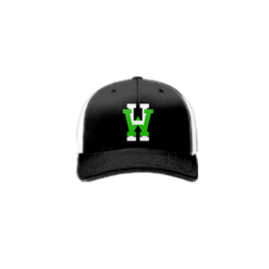 3903 R_P FLEX FIT CAP 172 HOMEWRECKERS-1