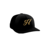 3918 R_P FLEX FIT CAP PTS30 HAYWARD-1