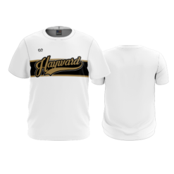 3918 MENS SPIRIT CREW NECK HAYWARD-1