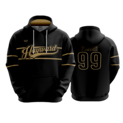 3918 UNISEX FLEECE HOODY HAYWARD-2