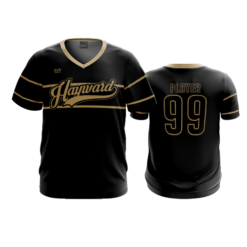 3918 MENS SPORT V NECK HAYWARD-2