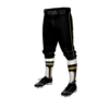 3918 MENS BASEBALL KNICKER PANT HAYWARD-2