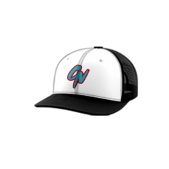2194 R_P TRUCKER CAP 112 COMBO-NATION-1