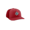 2194 R_P FLEX FIT CAP PTS30 COMBO-NATION-1