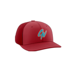 2194 R_P FLEX FIT CAP PTS30 COMBO-NATION-1