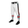 2194 MENS BASEBALL KNICKER PANT COMBO-NATION-2