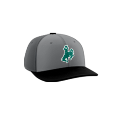 277 R_P FLEX FIT CAP PTS30 UNIFIED-1