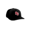 3095 R_P FLEX FIT CAP PTS30 POUNDIN-GAPS-1