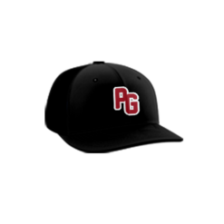 3095 R_P FLEX FIT CAP PTS30 POUNDIN-GAPS-1