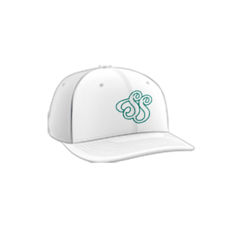 3853 R_P FLEX FIT CAP PTS30 SLAPPIN-STICKS-1