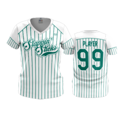 3853 WOMENS V NECK SLAPPIN-STICKS-2