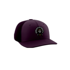 3915 R_P FLEX FIT CAP PTS30 WARRIORS-1