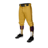 3915 MENS BASEBALL KNICKER PANT WARRIORS-2