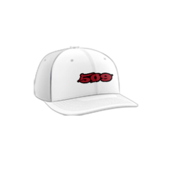 3330 R_P FLEX FIT CAP PTS30 509-MUNS-1