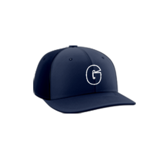 3379 R_P FLEX FIT CAP PTS30 GAMERS-1
