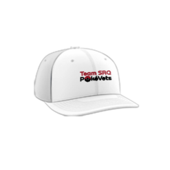 3911 R_P FLEX FIT CAP PTS30 TEAM-SRQ-POKEVETS-1