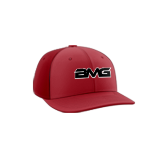 3423 R_P FLEX FIT CAP PTS30 BIG-MAMA-GANG-1