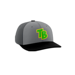 3919 R_P FLEX FIT CAP PTS30 THUNDER-BUDDIES-1