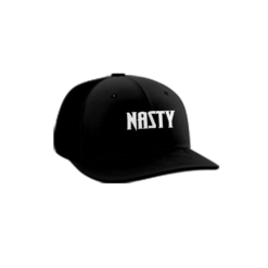 3440 R_P FLEX FIT CAP PTS30 NASTY-1