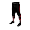 3921 MENS BASEBALL KNICKER PANT NW-ELITE-1