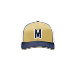 3702 R_P FLEX FIT CAP 172 MCLEAN-ELECTRIC-2024-1