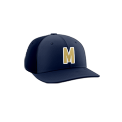 3702 R_P FLEX FIT CAP PTS30 MCLEAN-ELECTRIC-2024-1