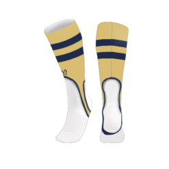 3702 FIELD STIRRUPS MCLEAN-ELECTRIC-2024-1