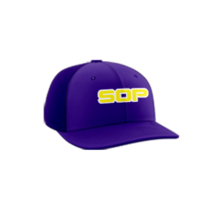 3402 R_P FLEX FIT CAP PTS30 SOP-1