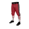3925 MENS BASEBALL KNICKER PANT LOS-PINTOS-2