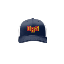 3691 R_P FLEX FIT CAP 172 DEATH-BY-SLIDING-2024-1