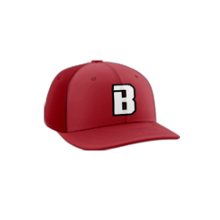 3931 R_P FLEX FIT CAP PTS30 BOMBERS-1